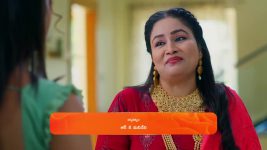 Padamati Sandhyaragam S01 E786 5th March 2025