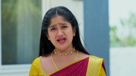 Padamati Sandhyaragam S01 E793 12th March 2025