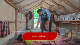 Paluke Bangaramayana S01 E481 Selva Learns about Bobby