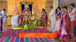 Puttakkana Makkalu S01 E916 8th March 2025