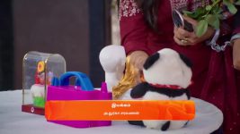 Sandhya Raagam (Tamil) S01 E483 19th March 2025