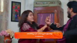 Sandhya Raagam (Tamil) S01 E484 20th March 2025