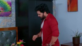Seethe Ramudi Katnam S01 E439 26th February 2025