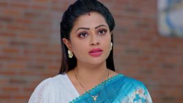 Seethe Ramudi Katnam S01 E445 5th March 2025