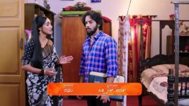 Shravani Subramanya S01 E247 25th February 2025