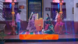 Shravani Subramanya S01 E248 26th February 2025