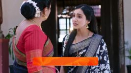 Shravani Subramanya S01 E250 28th February 2025