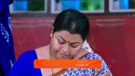 Shravani Subramanya S01 E251 3rd March 2025