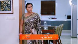Shravani Subramanya S01 E252 4th March 2025