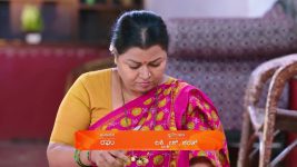 Shravani Subramanya S01 E261 17th March 2025