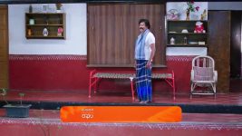 Shravani Subramanya S01 E262 18th March 2025