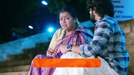 Shravani Subramanya S01 E265 21st March 2025