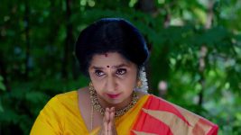 Trinayani (Kannada) S01 E1229 1st March 2025
