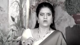 Trinayani (Kannada) S01 E1247 19th March 2025
