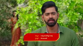 Vantalakka S01 E854 Krishna Succumbs to Sorrow