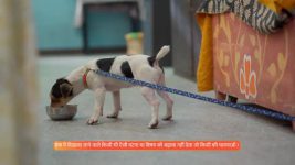 Vasudha (Zee Tv) S01 E143 12th March 2025