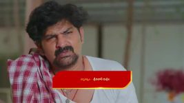 Chinni (Star Maa) S01 E235 Vijay's New Plan for Kaveri