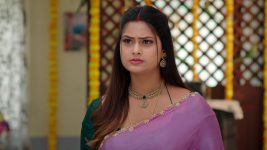 Gunde Ninda Gudi Gantalu S01 E384 Sruthi Defends Meena