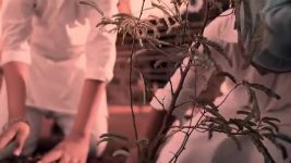 Kanneda S01 E07 I am Still Around, B**ch!