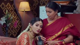 Karthika Deepam S02 E314 Das's Failed Attempt
