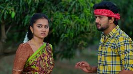 Maguva O Maguva S01 E342 Chanti, Sindhura Execute Their Plan