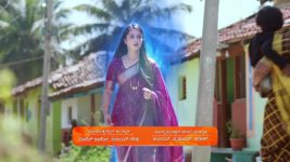 Naa Ninna Bidalaare (Zee Kannada) S01 E19 20th February 2025