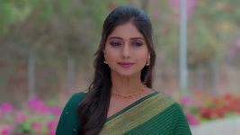 Ninnu Kori (Star Maa) S01 E237 Kamakshi's Request to Jagadeswari