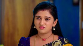 Paape Maa Jeevana Jyothi S01 E1201 Kutti's Appeal to Seenu