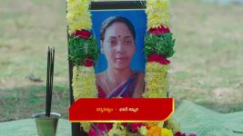 Paluke Bangaramayana S01 E496 Bobby, Nalani's Reunion