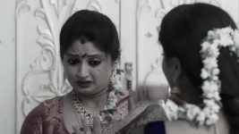 Ammayi Garu S01 E769 21st April 2025