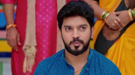 Annapoorna S01 E835 2nd April 2025