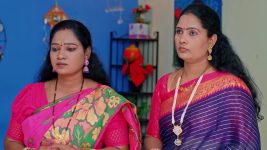 Annapoorna S01 E839 8th April 2025