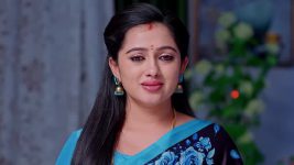 Annapoorna S01 E841 10th April 2025