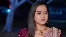 Annapoorna S01 E846 17th April 2025