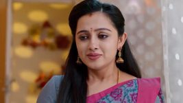 Annapoorna S01 E849 22nd April 2025