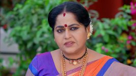 Annapoorna S01 E850 23rd April 2025