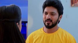 Annapoorna S01 E852 25th April 2025