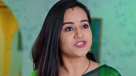 Annapoorna S01 E854 29th April 2025