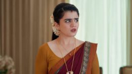 Chamanthi (Zee Telugu) S01 E109 30th April 2025