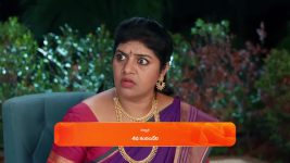 Chamanthi (Zee Telugu) S01 E85 2nd April 2025