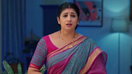 Dheerga Sumangli Bhava (Zee Telugu) S01 E08 15th April 2025