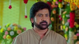 Ennallo Vechina Hrudayam (Zee telugu) S01 E66 12th April 2025