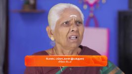 Idhayam S01 E660 16th April 2025