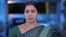 Idhayam S01 E663 19th April 2025