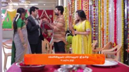 Idhayam S01 E672 30th April 2025
