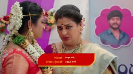 Illu Illalu Pillalu (Star Maa) S01 E137 Narmada, Prema Are Overwhelmed