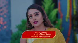 Intinti Ramayanam (Star Maa) S01 E259 Avani Is Concerned
