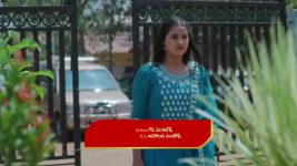 Intinti Ramayanam (Star Maa) S01 E260 The Family Distrusts Pranathi