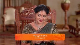Karthigai Deepam S01 E795 22nd April 2025