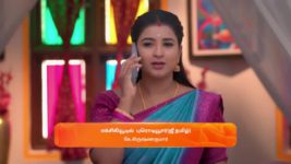 Karthigai Deepam S01 E800 29th April 2025
